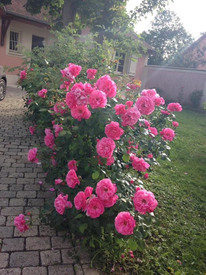 Rose Garden Mezzanine Acomodação com café da manhã Giverny Exterior foto