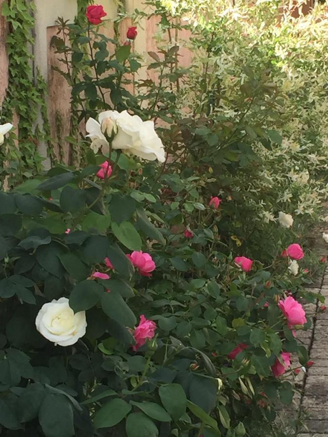 Rose Garden Mezzanine Acomodação com café da manhã Giverny Exterior foto